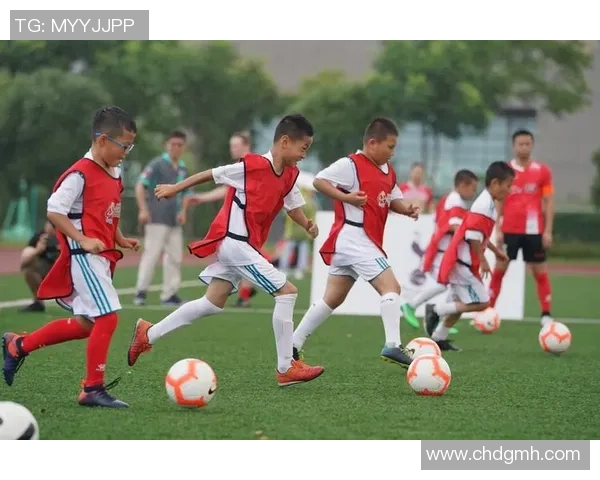 未来之星：揭示最有潜质的足球新秀与他们的成长之路